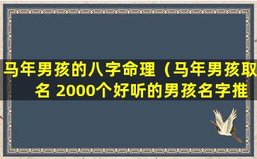 马年男孩的八字命理（马年男孩取名 2000个好听的男孩名字推荐）